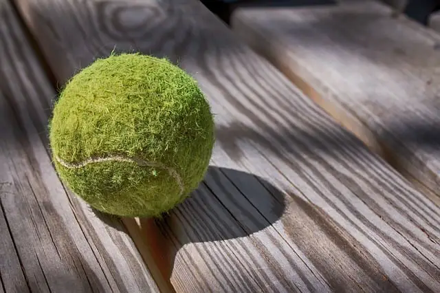 How To Get Rid Of Tennis Ball Smell